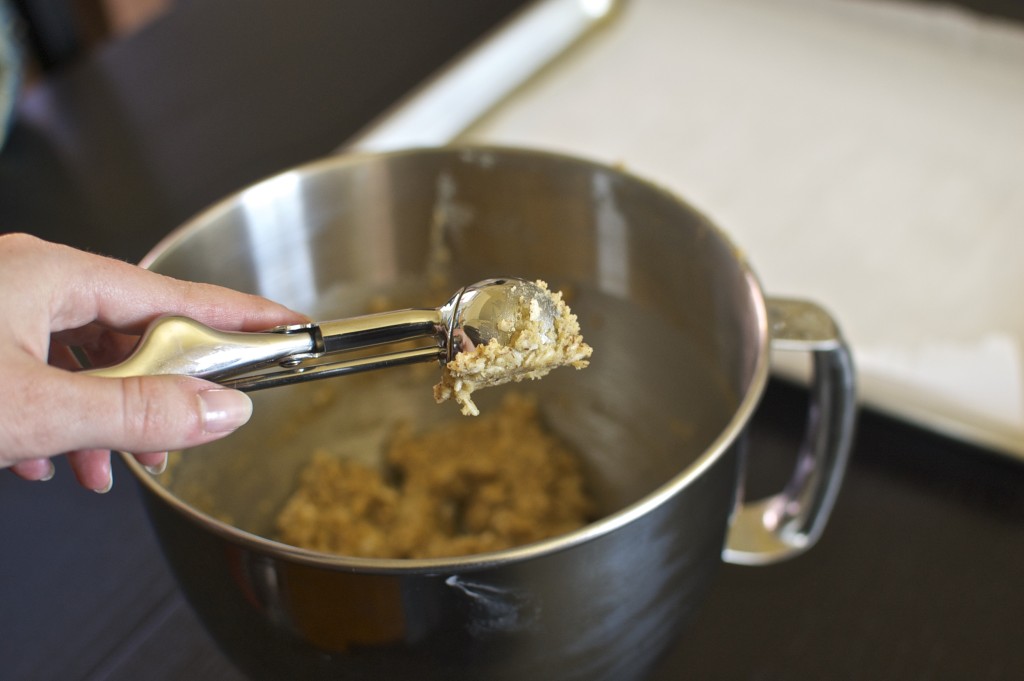 Flourless Coconut Cookies