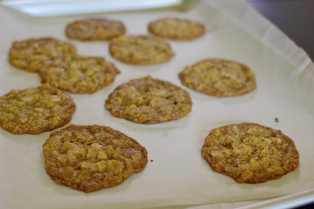 Passover Coconut Cookies