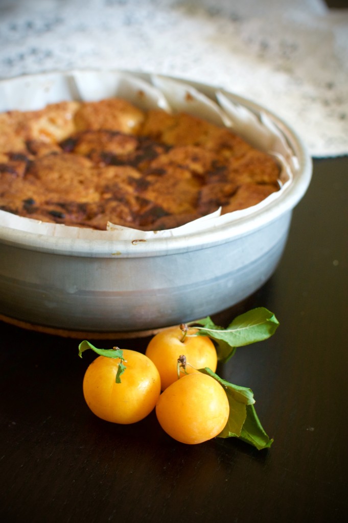 Mirabelle Plum Afternoon Tea Cake