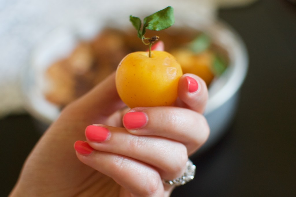 Mirabelle Plum Afternoon Tea Cake