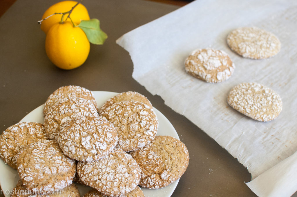 Testing Lemon Cookies by Nosherium